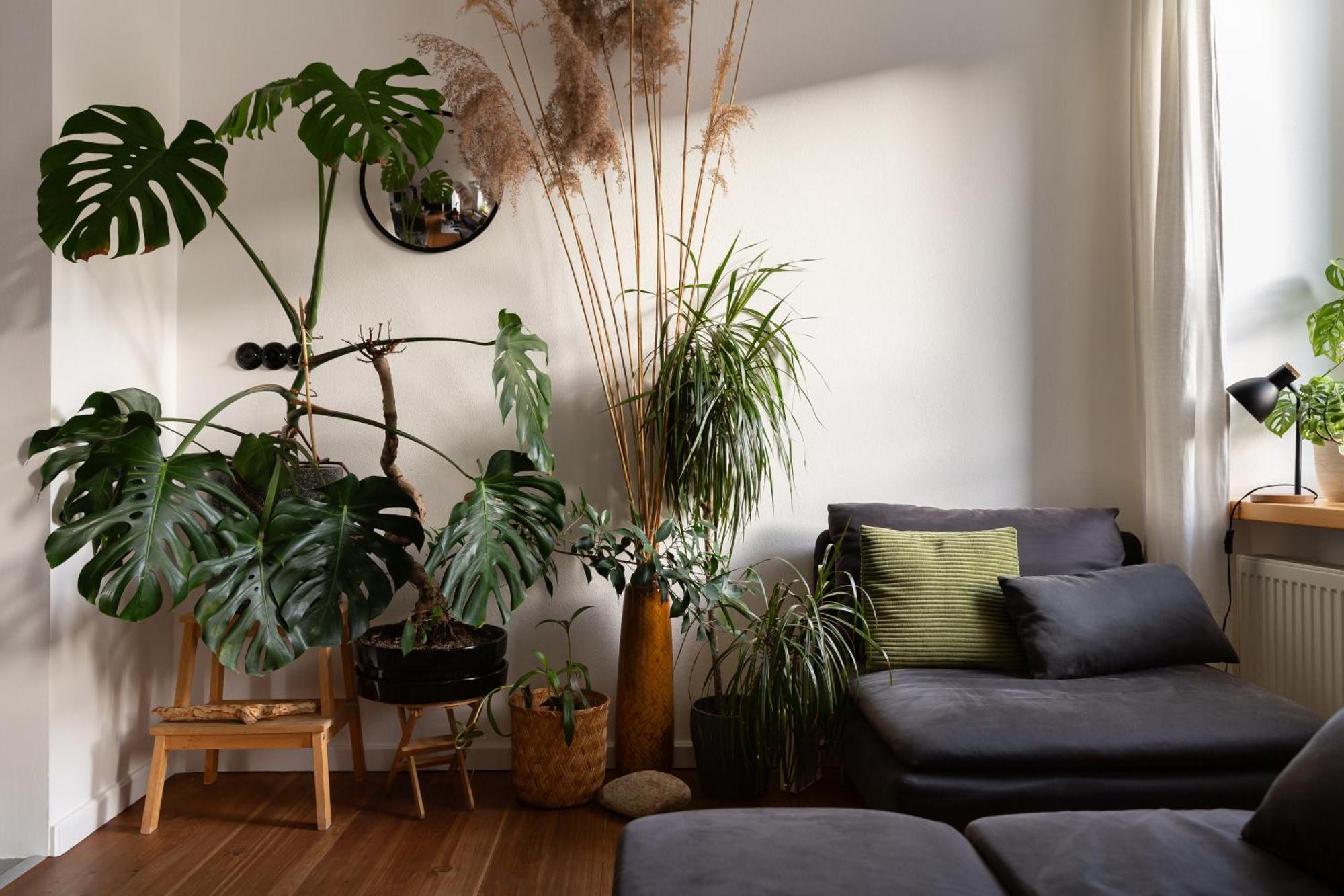 Evergreen - Old Town Spacious Stylish Apartment With Ac And One And A Half Bath, Baby & Kid- Friendly Bratislava Ngoại thất bức ảnh