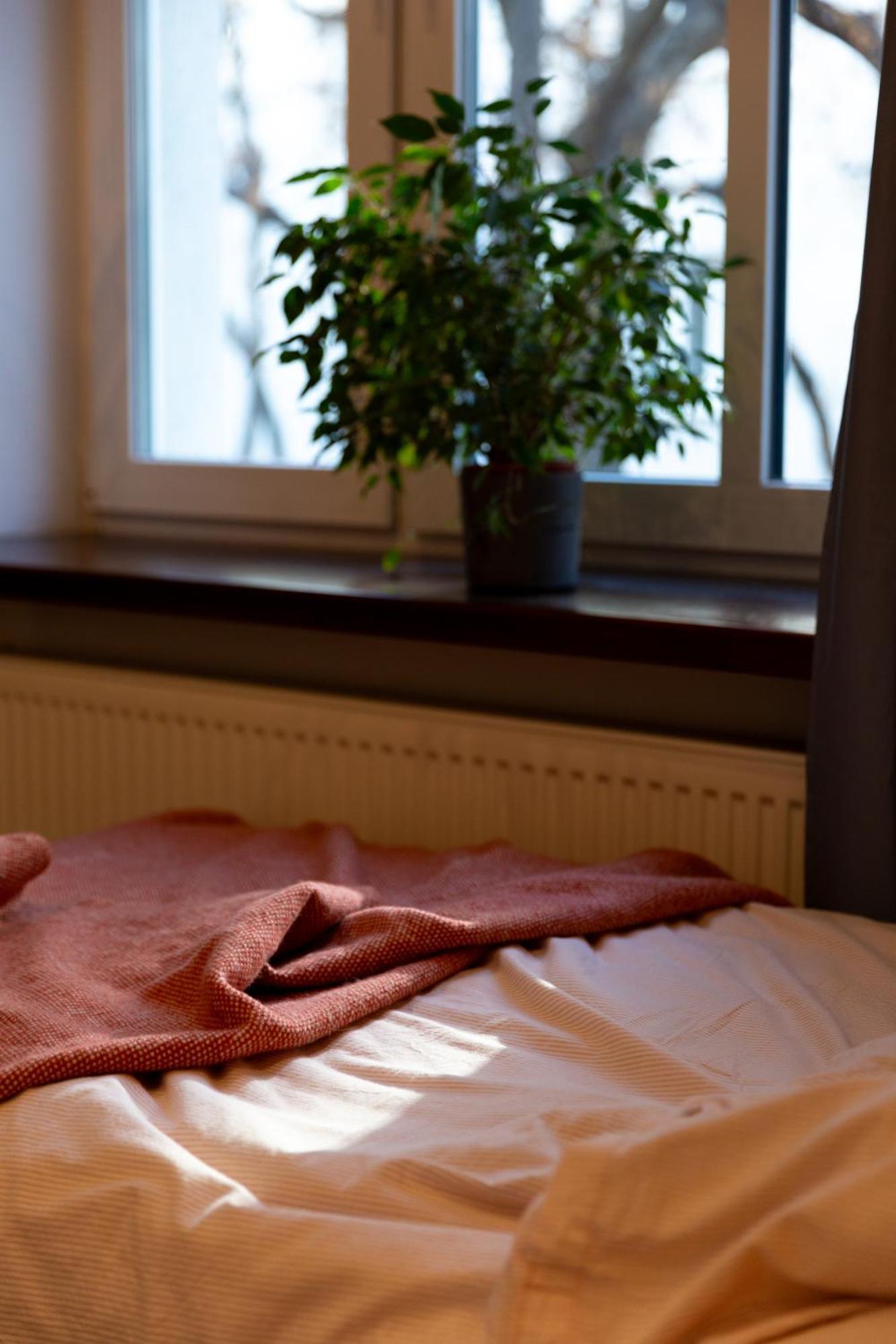 Evergreen - Old Town Spacious Stylish Apartment With Ac And One And A Half Bath, Baby & Kid- Friendly Bratislava Ngoại thất bức ảnh