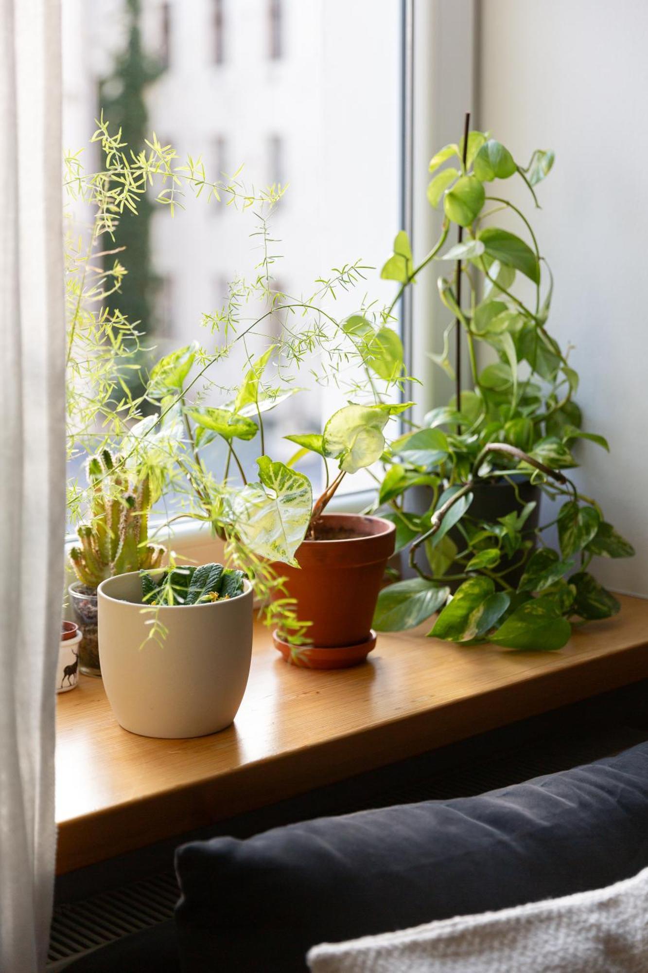 Evergreen - Old Town Spacious Stylish Apartment With Ac And One And A Half Bath, Baby & Kid- Friendly Bratislava Ngoại thất bức ảnh