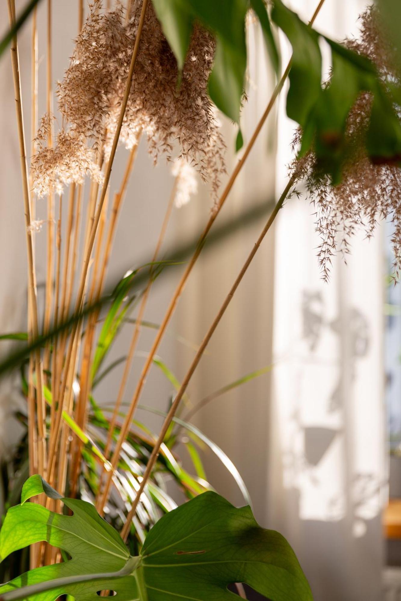 Evergreen - Old Town Spacious Stylish Apartment With Ac And One And A Half Bath, Baby & Kid- Friendly Bratislava Ngoại thất bức ảnh